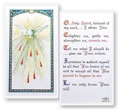 What Are The 12 Fruits Of The Holy Spirit Holy Spirit Prayer Prayer Cards Holy Spirit