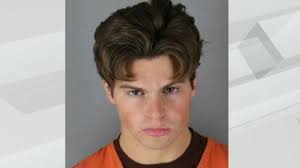 Police officer frees skunk with container stuck