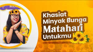 Bunga tumbuhan ini sangat khas: Minyak Bunga Matahari Khasiatnya Untukmu Essential Oil Rosevara Youtube