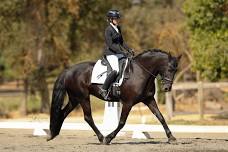 2025 PEC HORSE PARK DRESSAGE Schooling Series #5