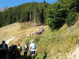 The utmb® invites you to live an adventure by participating to one of the 7 races: Wikiloc Picture Of Occ Orsieres Champex Chamonix 53k Utmb 2015 1 6