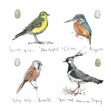 Marshland Birds Bird Art Bird Art Print Nature Sketch