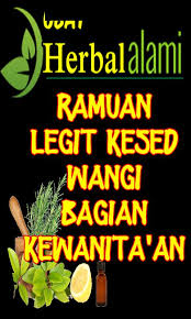Buah srikaya kunyit putih cara membuat : Cara Membuat Bagian Dalam Wanita Kesed Dan Rapet For Android Apk Download