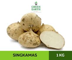 It gave me a spanish word jicama and yam bean. What Is The English Name Of Singkamas