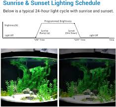 This light does grow live plants! Nicrew Classicled Aquarium Beleuchtung Aquarium Led Lampe Einzelkanal Timer Ebay
