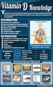 Pin On Health