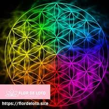 Maybe you would like to learn more about one of these? Tatuaje Flor De La Vida Y Su Significado Flor De Loto