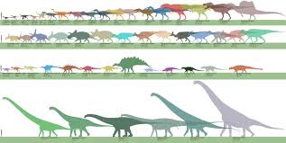 the real sizes of the dinosaurs by franoys