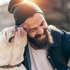 If You Think Dogs Cant Count Try Putting Three Dog Biscuits In Your Pocket And Then Give Him Only Two Of Them Three Dogs Dog Biscuits Dogs