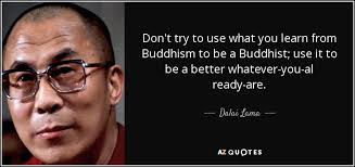 Dalai Lama quote: Don't try to use what you learn from Buddhism to...