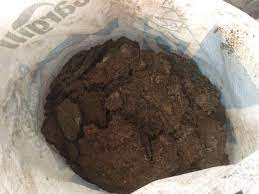 Penjagaan membaja • baja organan atau baja asli seperti tahi ayam reput (2 tan / 0.4 ha) digunakan sebagai baja asas. Baja Tahi Ayam Baja Tahi Ayam Telur Murah Tampin Facebook