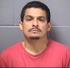 Will County Jail Detentions: Friday Edition