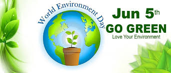 World environment day is celebrated all over the world to spread awareness towards the environment. World Environment Day Celebrated On June 5 Theme And Slogans Did U Know