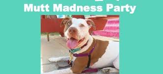Maybe you would like to learn more about one of these? Barkhappy Phoenix Mutt Madness Party For Az Small Dog Rescue Barkhappy