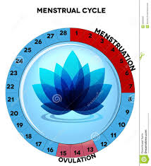 calendar to chart menstrual cycle calendars office of