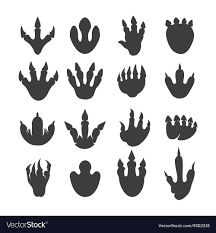 Reptile Footprints Or Dinosaur Tracks Royalty Free Vector Affiliate Dinosaur Footprints Reptile T In 2020 Dinosaur Footprint Dinosaur Images Dinosaur Tracks