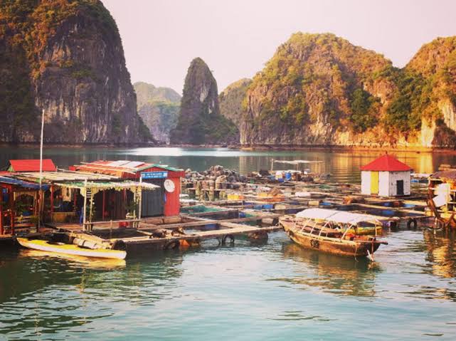 Mga resulta ng larawan para sa Halong Bay Vietnam, the Floating Fishing Village"