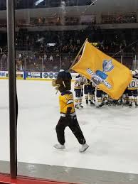 Erie Insurance Arena 2019 All You Need To Know Before You