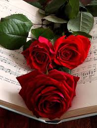 Pin By Angelomio On Simple Pleasures Beautiful Red Roses Red Roses Love Rose
