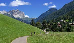 Traccia gps, mappa dei tour, info utili, difficoltà, tempi, dislivello, tipo di strada, lunghezza del percorso montagna estate/autunno. Pista Ciclabile Val Di Fiemme E Fassa Trentino Provincia Di Trento