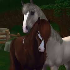Kolorowanki / star stable is the exciting online game where adventures, horses and mysteries are waiting to be explored. 120 Star Stable Ideas Konie Koniara Dziki Kon