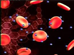 Moin international sdn bhd has completed one decade in field of trading (buying/selling). Anion International Sdn Bhd