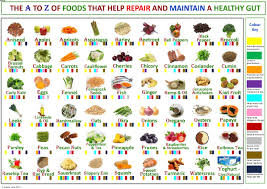 A Chart Visually Showing Which Foods Help Prevent Digestive