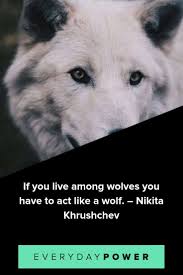 We did not find results for: 56 Wolf Quotes Sayings And Proverbs Celebrating Your Instinct 2021