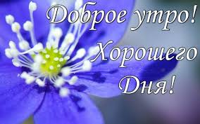 Очень важно заранее знать памятную дату, чтобы можно было поздравить с ней своих родственников, друзей, знакомых и прочих близких сердцу людей! Zavtra Prazdnik 134 Otveta Kurilka Stranica 7 Forum Avto Mail Ru
