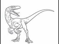 25 beste ausmalbilder jurassic world, dinosaurier, indominus rex, velociraptor jurassic park logo coloring page from dinosaurs category. 42 Jurassic World Ausmalbilder Zum Ausdrucken Ideen Ausmalbilder Zum Ausdrucken Jurassic World Kostenlose Ausmalbilder