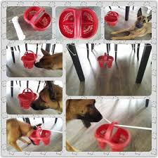 The best dog puzzle toys in the market usually combine feeding features with an opportunity to train the dog's mind and even physique. Facebook Diy Dog Stuff Diy Dog Toys Dog Games