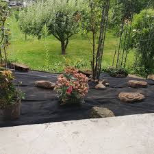 Endlich Unkraut Frei Teil Keine Ahnung Mehr Funf Vielleicht Garten Garden Gartenpflege Gartengestaltung Gartenideen Ga Garten Ideen Garten Gartenpflege