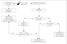 Figure 3 From Cholesterol Cholelithiasis In Pregnant Women