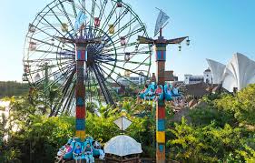 Image result for Oldenlandia verrucitesta