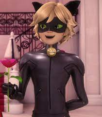 Cat Noir Miraculous Characters Miraculous Ladybug Anime Miraculous Ladybug