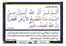 ألم تر أن الله أنزل من السماء ماء موقع البطاقة الدعوي