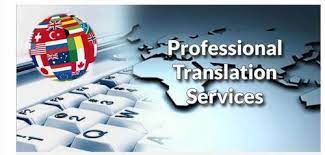 Professional Translation Services