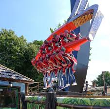 Image result for Grona