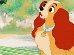 Originally released in 1955, lady and the tramp is the 15th entry in the disney animated canon, and the first that disney theatrically distributed … starting with sleeping beauty through robin hood, george bruns would replace him as composer. Disney S Lady And The Tramp Eyes Kiersey Clemons For Leading Role