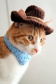 What about 20 of them! Crochet Pattern Cowboy Hat For Cats With Ear Holes Pdf Pattern To Crochet A Cat Cowboy Hat Costume Crochet Pattern For Cat Lovers Pet Halloween Costumes Crochet Cat Halloween Crochet Patterns