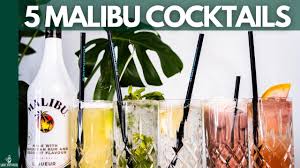 See more ideas about malibu cocktails, cocktails, malibu rum. Cocktails Mit Malibu I Schnell Einfach Youtube