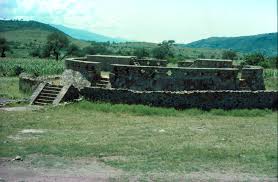 People can use nopal cactus in a variety of sweet and savory dishes and drinks. In The Footsteps Of Carlos Castaneda Tom Trigo Ephemeral Thoughts On The World Around Us