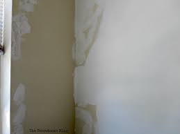 If the kids are old enough have them draw it. Paint An Awesome Cloudy Effect Accent Wall The Boondocks Blog