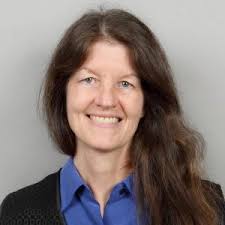 Neural Excitability, Synapses and Glia