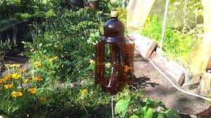 Image result for plašič krtků z pet lahve