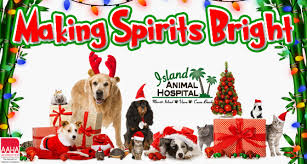 City pet hospital has created a convenient practice to provide advanced, comprehensive care. Viera Merritt Island Cocoa Beach Veterinarian Animal Hospital Island Hospital Merritt Island