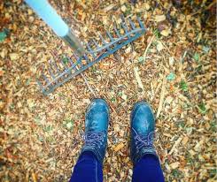 At natural arbor care, we give away wood chips on a first come, first served basis in areas where we are currently working. Chip Drop Get Free Wood Chip Mulch Delivered Urban Organic Gardener