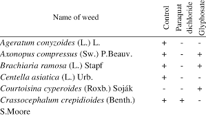 Image result for Courtoisina