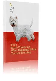 Every penny donated goes directly to rescuing westies, and everyone who gives time to westie rescue does so 100% voluntarily! West Highland White Terrier Training Course On West Highland White Terrier