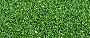 Pet friendly artificial grass infill. What Type Of Artificial Turf Infill Is Right For Me Oc Turf Putting Greens